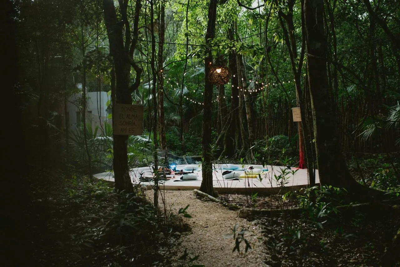 Lunita Jungle Experience Hotel Puerto Morelos